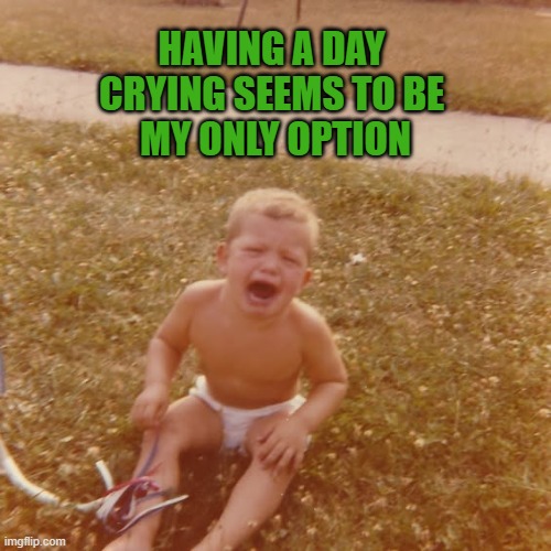bad day | having a day 
crying seems to be 
my only option | image tagged in crying | made w/ Imgflip meme maker