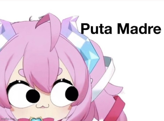 I got comment banned for 8 hours for commenting this on drizzles post are we deadass | image tagged in puta madre | made w/ Imgflip meme maker