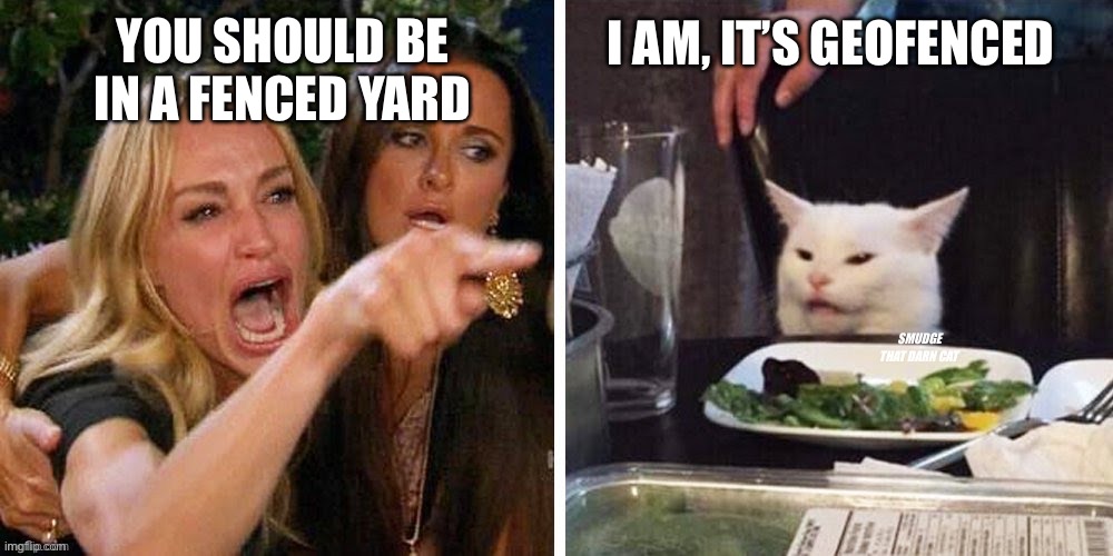 Smudge that darn cat with Karen | You should be in a fenced yard I am, it’s geofenced | image tagged in smudge that darn cat with karen | made w/ Imgflip meme maker