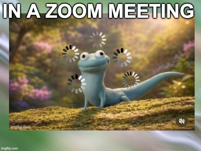 Green Blank background | in a zoom meeting | image tagged in green blank background | made w/ Imgflip meme maker