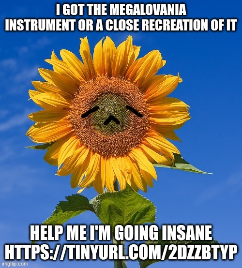 I got the megalovania instrument or a close recreation of it; help me I'm going insane
https://tinyurl.com/2dzzbtyp | made w/ Imgflip meme maker