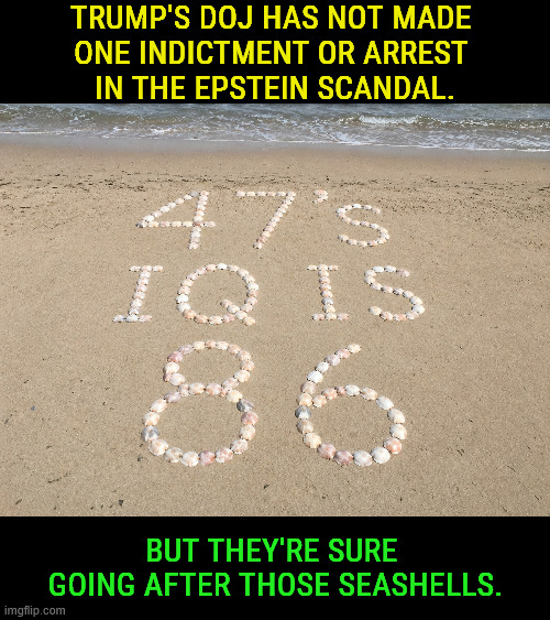 Trump's DOJ has not made 
one indictment or arrest 
in the Epstein scandal. But they're sure 
going after those seashells. | image tagged in trump,jeffrey epstein,doj,seashells | made w/ Imgflip meme maker