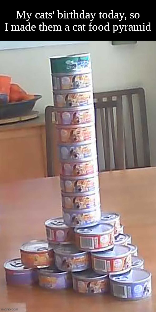 , | My cats' birthday today, so I made them a cat food pyramid | image tagged in cat,happy birthday | made w/ Imgflip meme maker