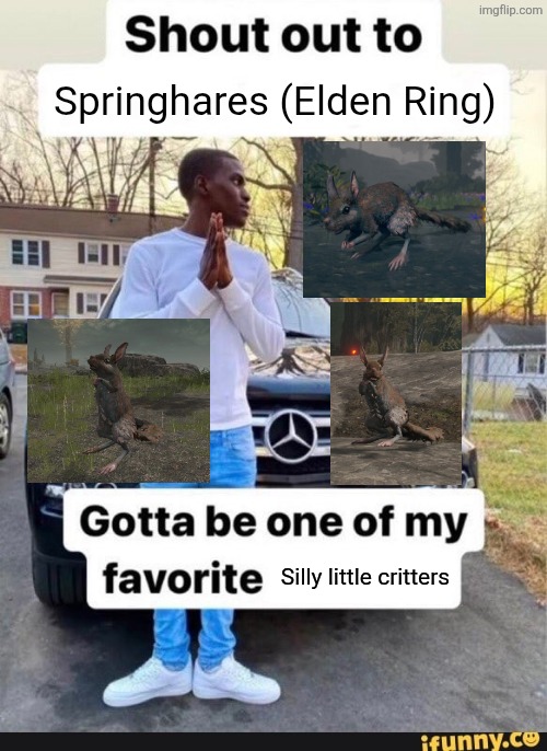 They're Real btw | Springhares (Elden Ring); Silly little critters | image tagged in gotta be one of my favorite genders,memes,elden ring,relatable memes,humor,lol | made w/ Imgflip meme maker