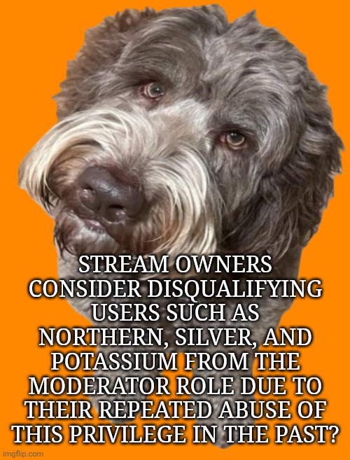 stream owners consider disqualifying users such as Northern, Silver, and Potassium from the moderator role due to their repeated abuse of this privilege in the past? | made w/ Imgflip meme maker