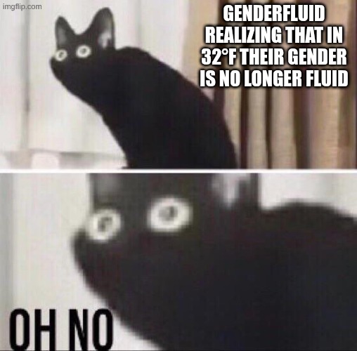 Oh no cat | genderfluid realizing that in 32°F their gender is no longer fluid | image tagged in oh no cat | made w/ Imgflip meme maker