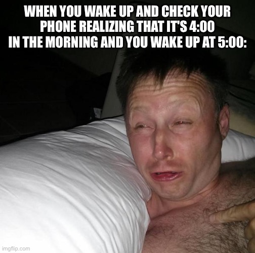 Limmy waking up | When you wake up and check your phone realizing that it's 4:00 in the morning and you wake up at 5:00: | image tagged in limmy waking up | made w/ Imgflip meme maker