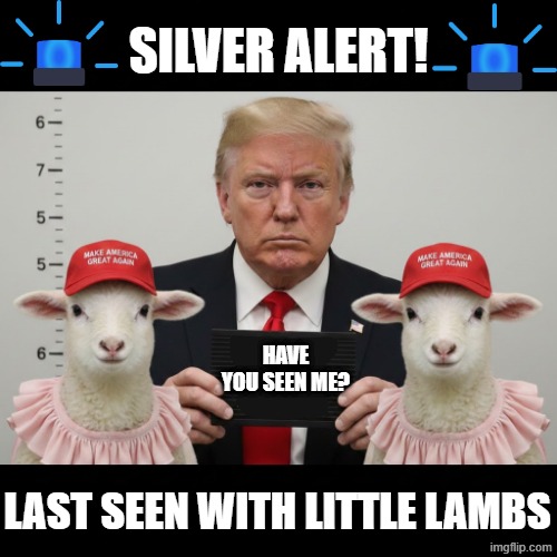 SILVER ALERT! | SILVER ALERT! HAVE YOU SEEN ME? LAST SEEN WITH LITTLE LAMBS | image tagged in silver alert,donald trump,jeffrey epstein,melania trump,maga,political meme | made w/ Imgflip meme maker