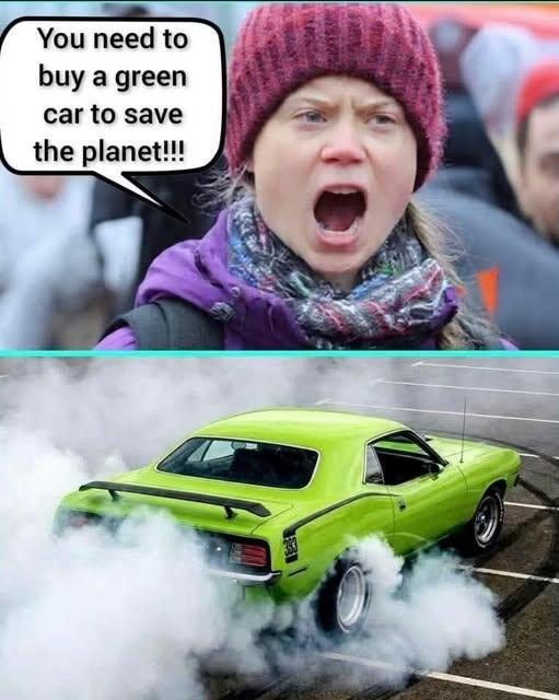 Grumpy Greta says buy a green car Blank Meme Template