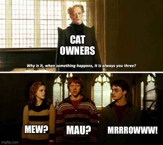Always you three | Cat owners; Mau? Mew? Mrrrowww! | image tagged in always you three,cats,cat,harry potter | made w/ Imgflip meme maker