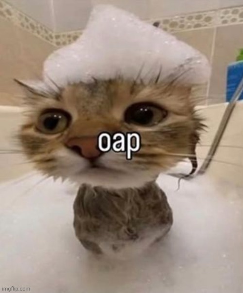 image tagged in 4bcde761d1eab398e65763a8b62ff9ec jpg | made w/ Imgflip meme maker