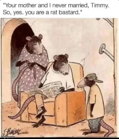 Poor Timmy... | image tagged in unmarried,rat,children,rats,funny,comics | made w/ Imgflip meme maker