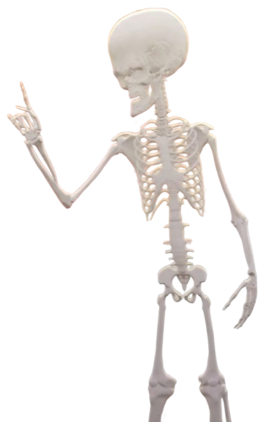 Megamind's Skeleton Blank Meme Template