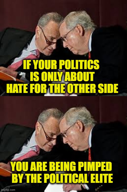 Divide, distract, and conquer | If your politics 
is only about
hate for the other side; you are being pimped 
by the political elite | made w/ Imgflip meme maker