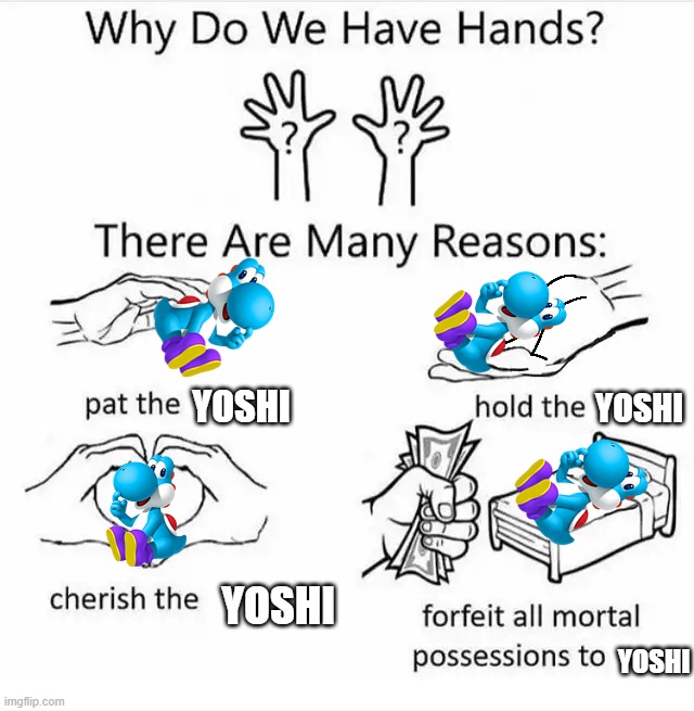 Why do we have hands? | yoshi; yoshi; yoshi; yoshi | image tagged in why do we have hands | made w/ Imgflip meme maker