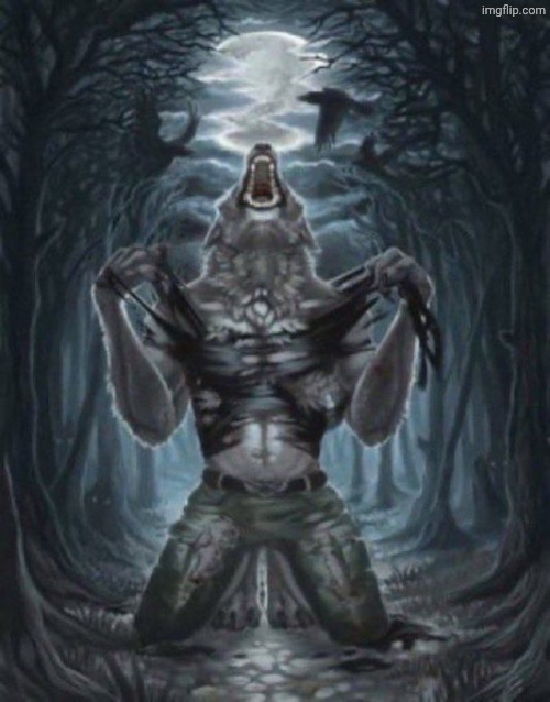 alpha wolf | image tagged in alpha wolf | made w/ Imgflip meme maker