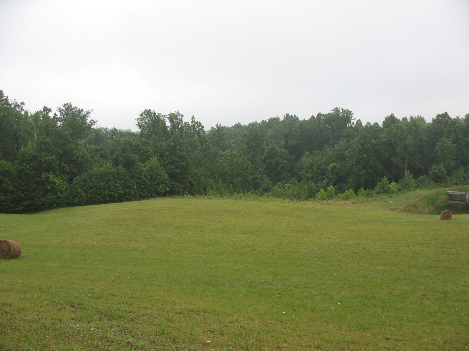 Empty field Blank Meme Template