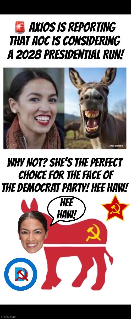 The real donkey would be a better choice for a nominee. It’d be a lot smarter and it’s voice wouldn’t be as annoying as AOC’s. | Hee
Haw! | image tagged in political meme,aoc,presidential run,2028,the face of the party,jackass | made w/ Imgflip meme maker