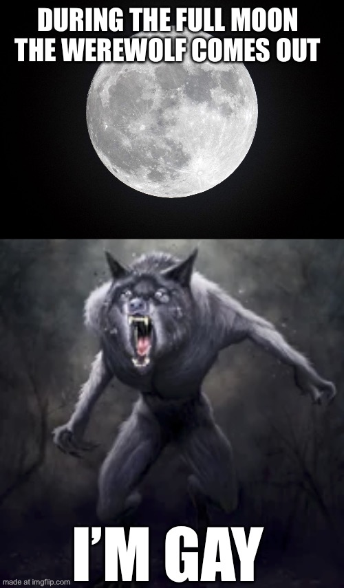 TikTok Dad Jokes | During the full moon the werewolf comes out; I’m gay | image tagged in full moon,werewolf | made w/ Imgflip meme maker