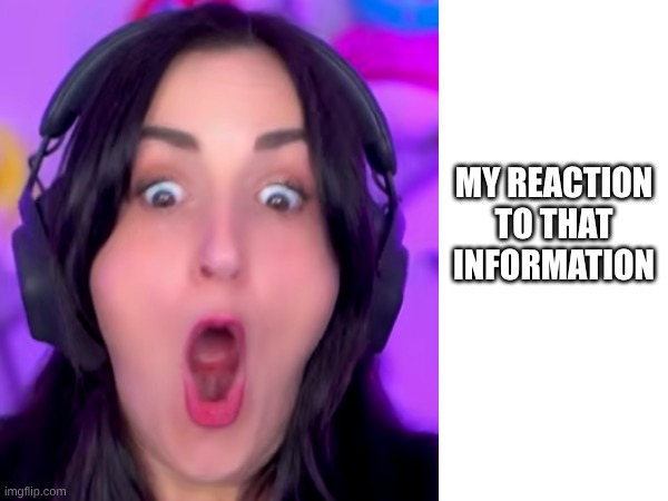 Laurenz's reaction | My reaction
to That Information | image tagged in laurenzside,funny,reaction,fun | made w/ Imgflip meme maker