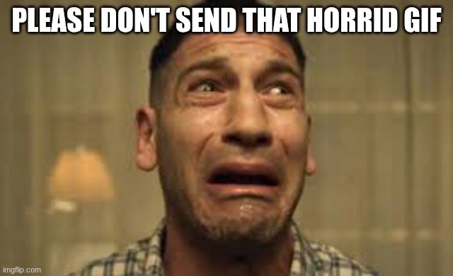 Punisher No no no no no | PLEASE DON'T SEND THAT HORRID GIF | image tagged in punisher no no no no no | made w/ Imgflip meme maker