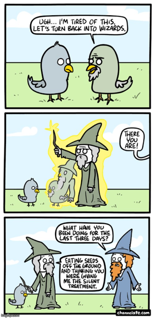 Wizards | image tagged in wizard,wizards,birds,bird,comics,comics/cartoons | made w/ Imgflip meme maker