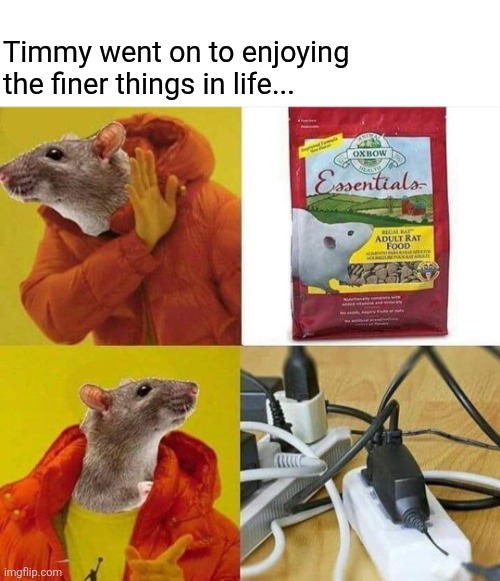 Timmy went on to enjoying the finer things in life... | made w/ Imgflip meme maker