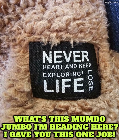 Why does anyone write inspiration messages in this nonsensical way | What's this mumbo jumbo I'm reading here? I gave you this one job! | image tagged in you had one job,epic fail,inspirational quote,design fails,dafuq did i just read,duhhh dumbass | made w/ Imgflip meme maker