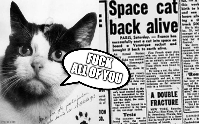 First cat into outer space | Fuck all of you | image tagged in felicette,space cat | made w/ Imgflip meme maker