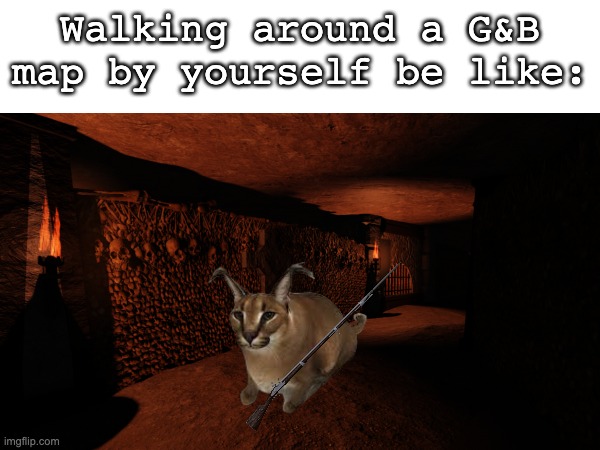 Floppa in Catacombs | Walking around a G&B map by yourself be like: | image tagged in fun | made w/ Imgflip meme maker