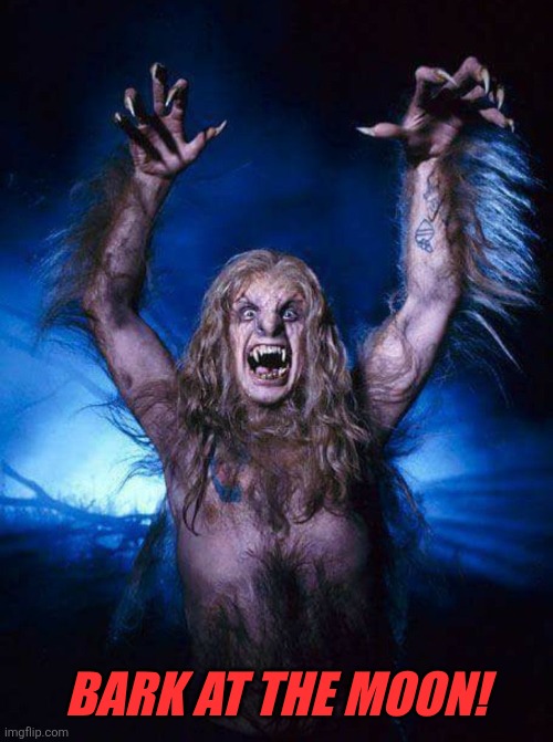 Warewolf Ozzy | Bark at the moon! | image tagged in warewolf ozzy | made w/ Imgflip meme maker