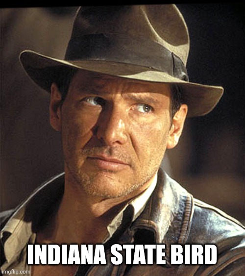 Indiana jones | Indiana State Bird | image tagged in indiana jones | made w/ Imgflip meme maker