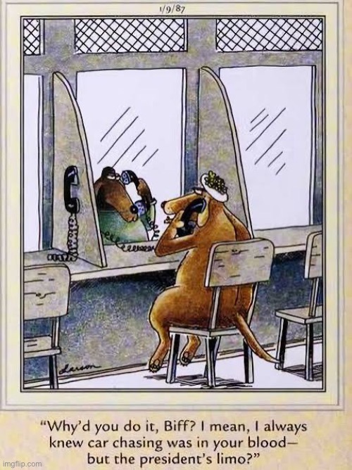 He had big aspirations… | image tagged in the far side,comics,prison,dogs,chase,presidential limo | made w/ Imgflip meme maker