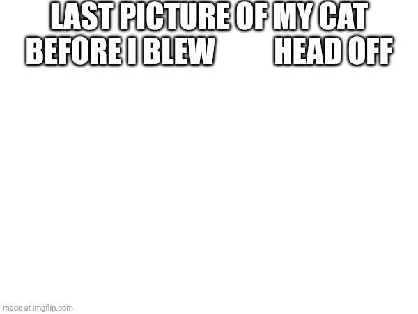Last picture of my cat before I blew Blank head off Template Blank Meme Template