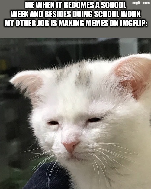 I make memes on Imgflip primarily on Weekdays with a few times on Weekends. | Me when it becomes a School week and besides doing school work my other job is making memes on Imgflip: | image tagged in i'm awake but at what cost,imgflip | made w/ Imgflip meme maker