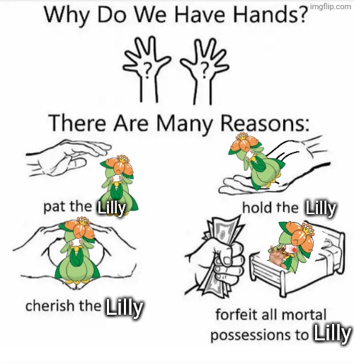 Lilly | Lilly; Lilly; Lilly; Lilly | image tagged in why do we have hands,pokemon | made w/ Imgflip meme maker
