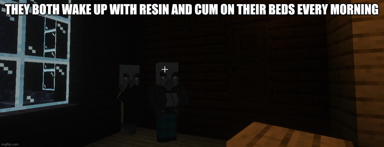 Illagers | They both wake up with resin and cum on their beds every morning | image tagged in illagers | made w/ Imgflip meme maker