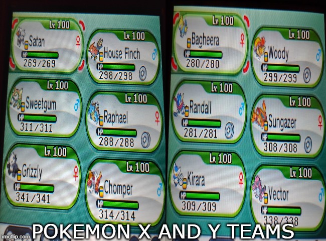 pokemon x and y teams | pokemon x and y teams | image tagged in pokemon x and y,pokemon,video games,nintendo,3ds,pokemon teams | made w/ Imgflip meme maker