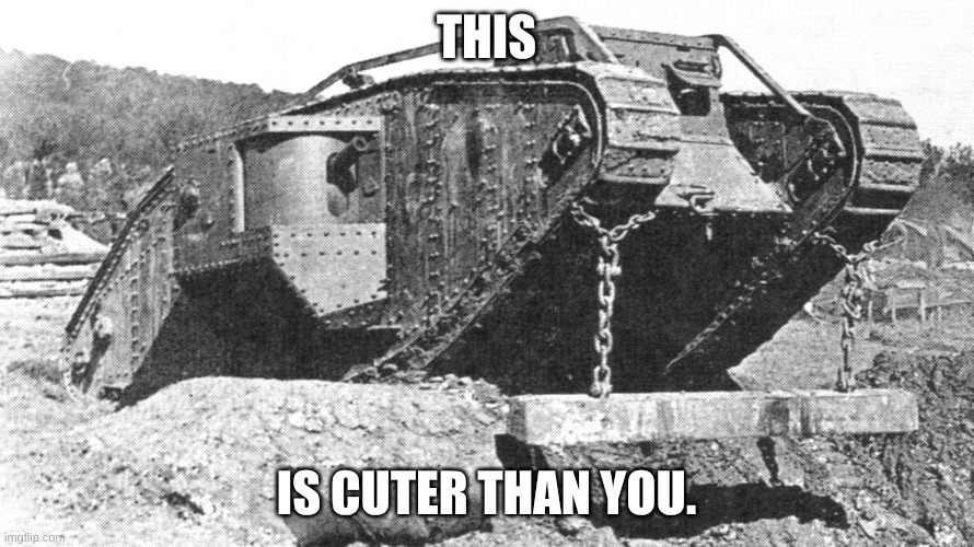 this is cuter than you. | image tagged in mark iv tank | made w/ Imgflip meme maker