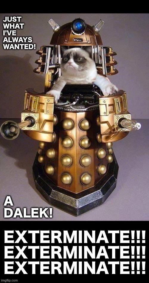 Grumpy Cat becomes a Dalek! | Just 
what
I’ve 
always 
Wanted! A 
Dalek! | image tagged in cats,grumpy cat,doctor who,dalek,exterminate | made w/ Imgflip meme maker
