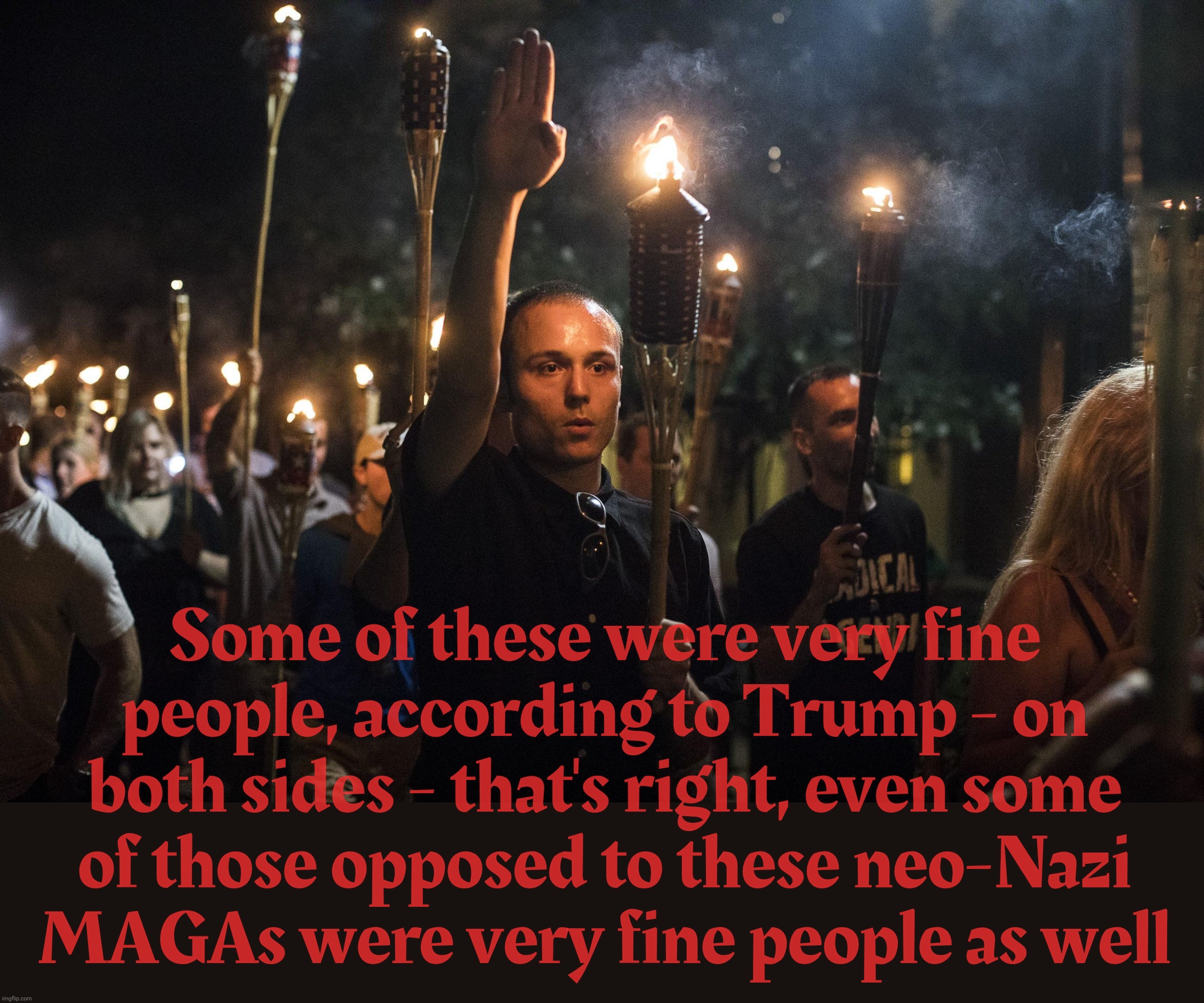Make America Germanic Again | Some of these were very fine people, according to Trump - on both sides - that's right, even some
of those opposed to these neo-Nazi
MAGAs were very fine people as well | image tagged in nazis charlottesville trump | made w/ Imgflip meme maker