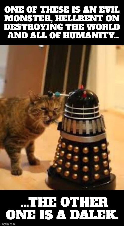 Even the Dalek would run from this fiend! | One of these is an evil 
monster, hellbent on 
destroying the world 
and all of humanity… | image tagged in cats,doctor who,dalek,monster,destroy,hellbent | made w/ Imgflip meme maker