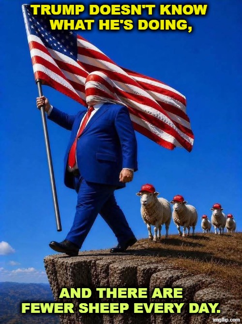 Trump, blind and senile, walks off cliff, fewer sheep every day | Trump doesn't know 
what he's doing, and there are fewer sheep every day. | image tagged in trump blind and senile walks off cliff fewer sheep every day,trump,senile dementia,idiot,maga,sheep | made w/ Imgflip meme maker
