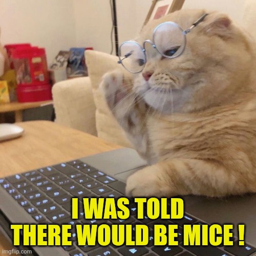 I was told there would be mice ! | made w/ Imgflip meme maker