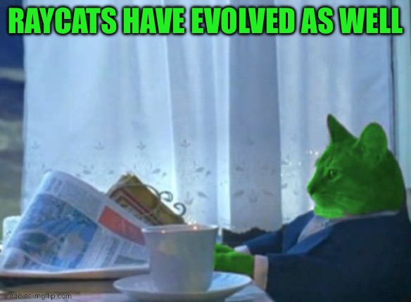 I Should Buy a Boat RayCat | Raycats have evolved as well | image tagged in i should buy a boat raycat | made w/ Imgflip meme maker
