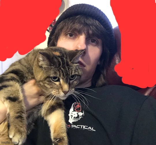 Cat | made w/ Imgflip meme maker