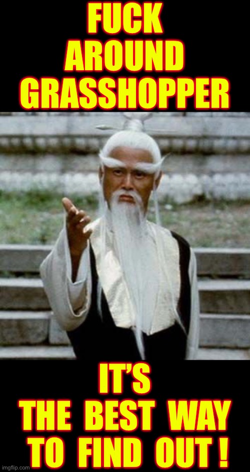 Bring It On Grasshopper !!!  : ) | Fuck
Around
Grasshopper; It’s 
The  Best  way
 To  find  out ! | image tagged in kung fu master | made w/ Imgflip meme maker