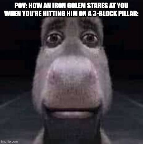 Donkey staring | POV: How an iron golem stares at you when you're hitting him on a 3-block pillar: | image tagged in donkey staring,minecraft,minecraft memes | made w/ Imgflip meme maker