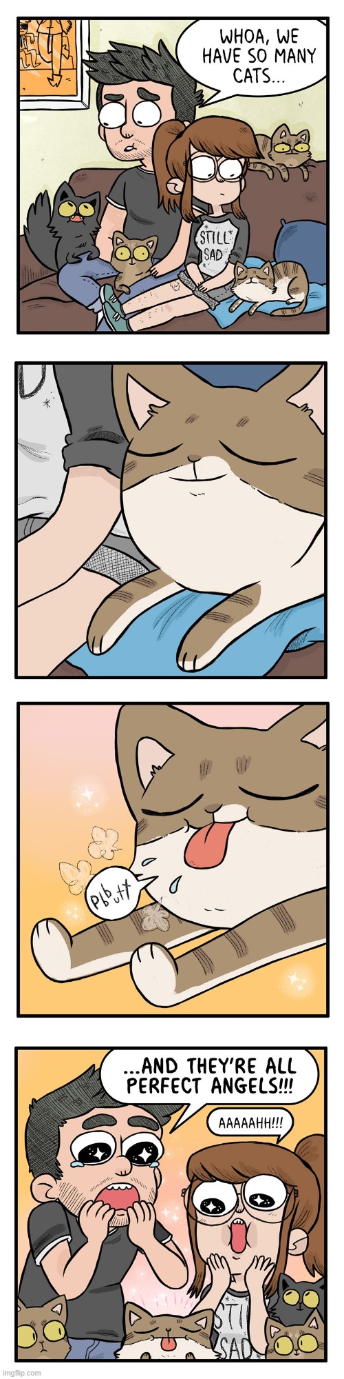 image tagged in cats,cat,drool,drooling,perfect,angels | made w/ Imgflip meme maker