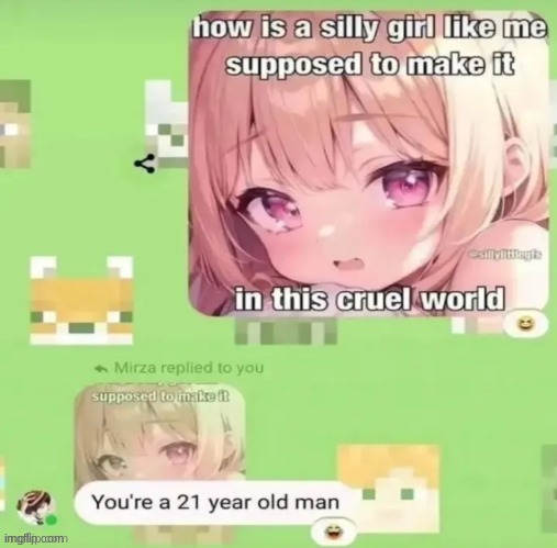 made w/ Imgflip meme maker